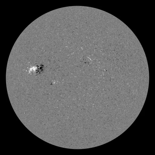 Solar Magnetic Fields