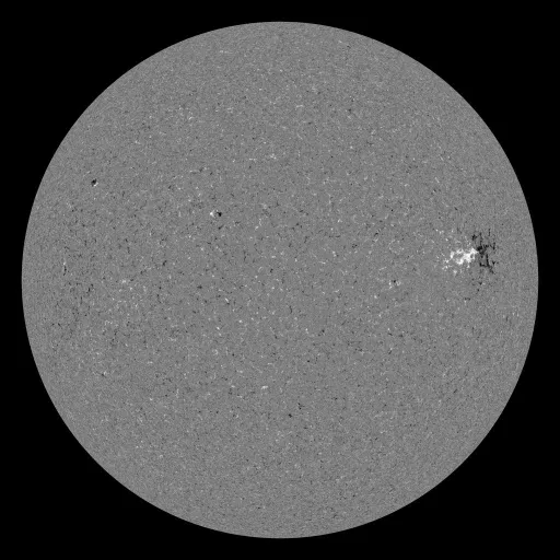 Solar Magnetic Fields