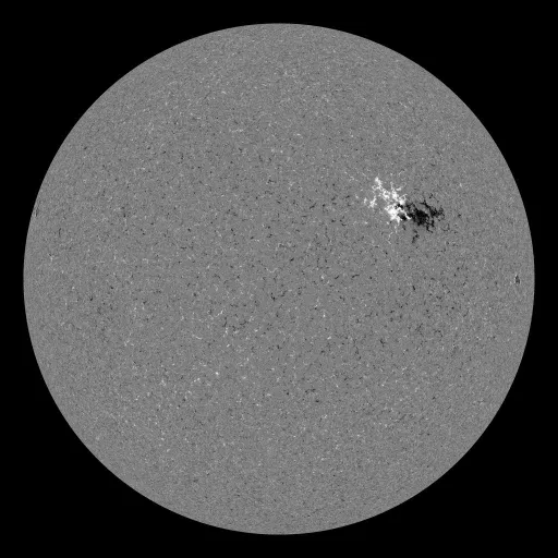 Solar Magnetic Fields