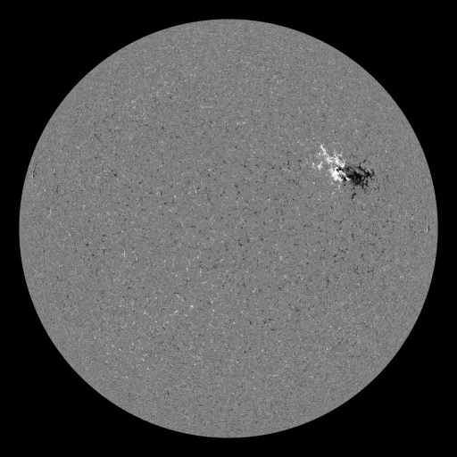 Solar Magnetic Fields