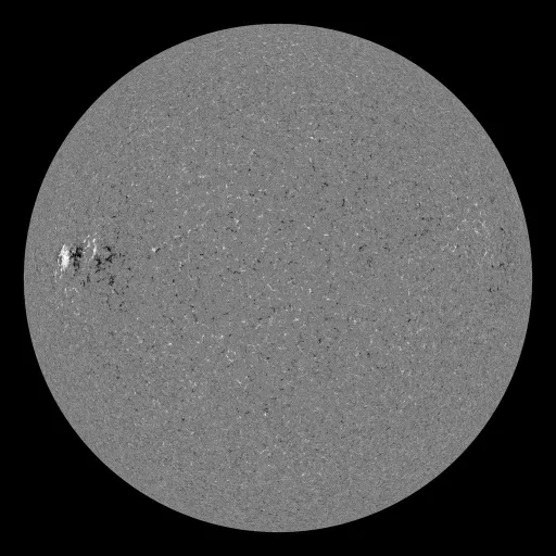 Solar Magnetic Fields