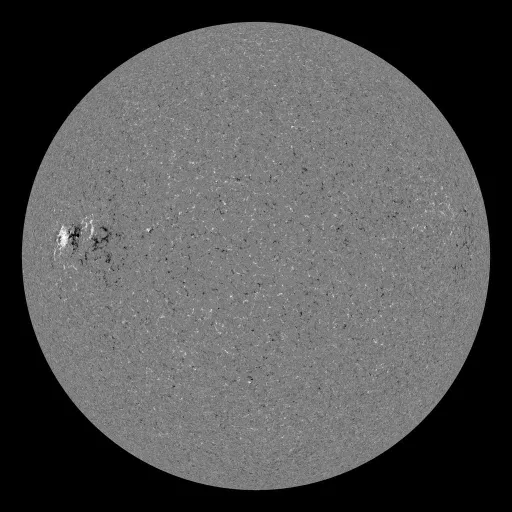 Solar Magnetic Fields