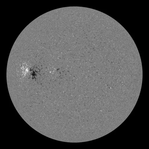 Solar Magnetic Fields