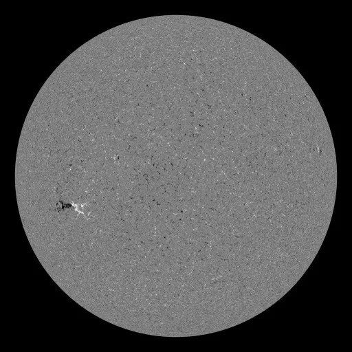 Solar Magnetic Fields