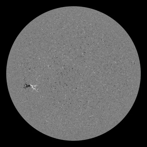 Solar Magnetic Fields