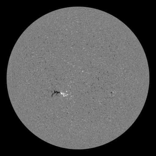 Solar Magnetic Fields