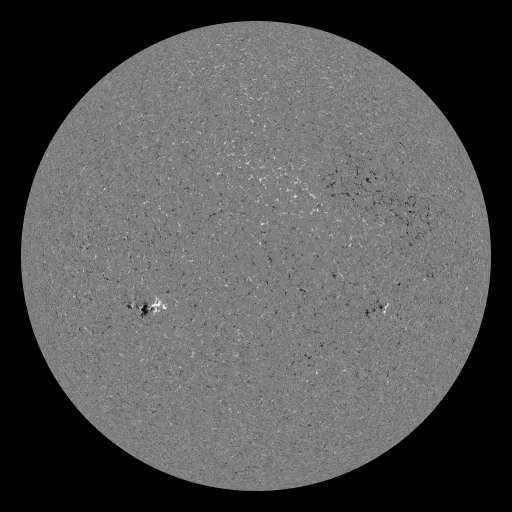 Solar Magnetic Fields