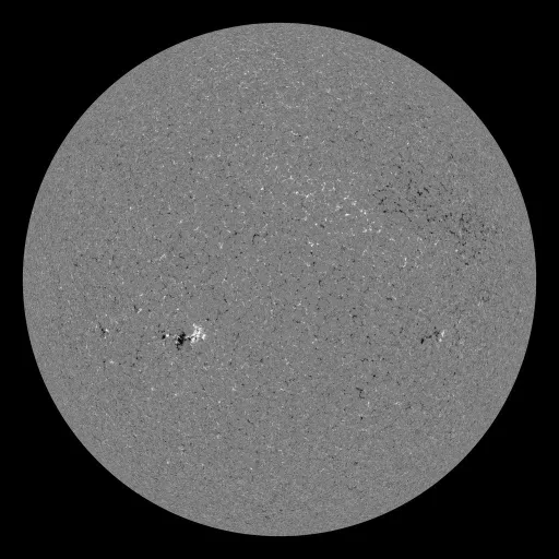 Solar Magnetic Fields