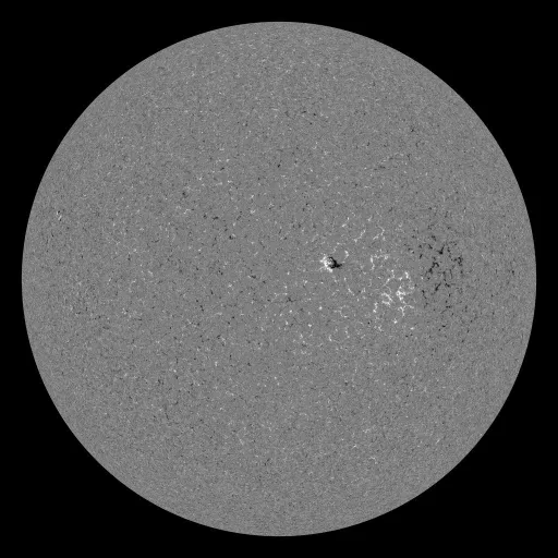 Solar Magnetic Fields