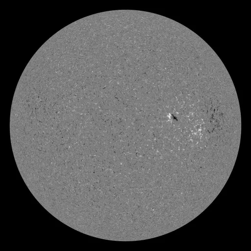 Solar Magnetic Fields