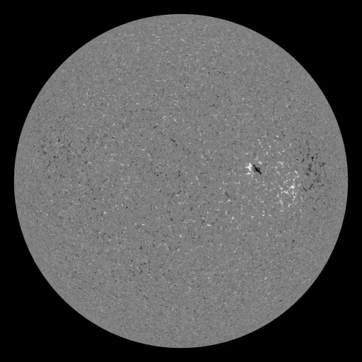 Solar Magnetic Fields