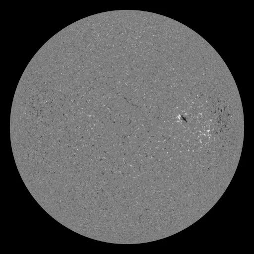 Solar Magnetic Fields