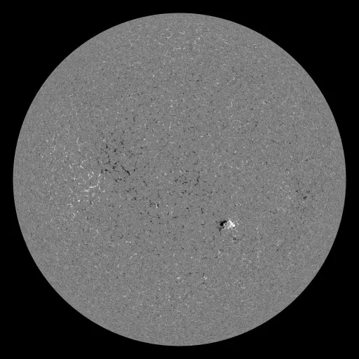 Solar Magnetic Fields