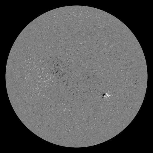 Solar Magnetic Fields