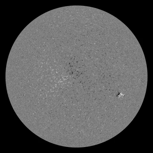 Solar Magnetic Fields