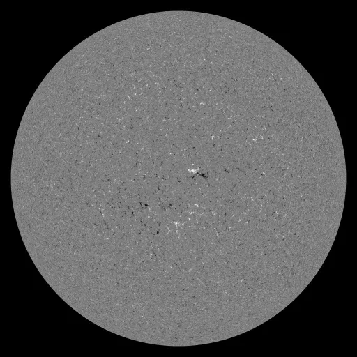 Solar Magnetic Fields
