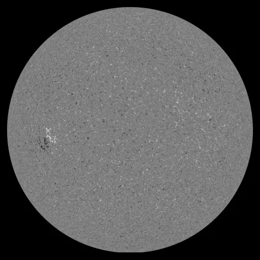 Solar Magnetic Fields