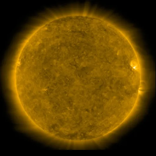 Solar Corona