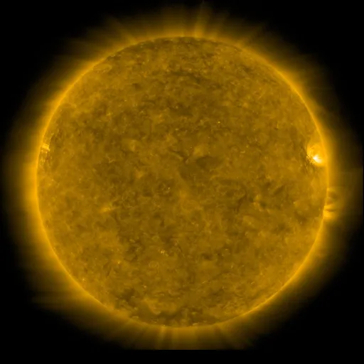 Solar Corona