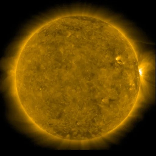 Solar Corona