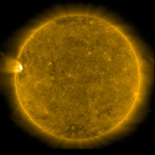 Solar Corona