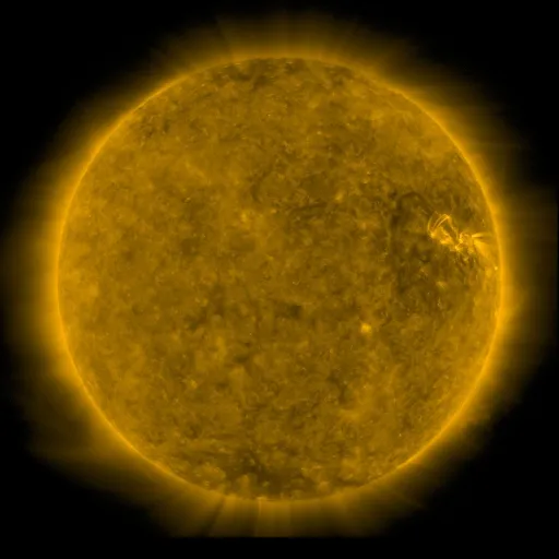 Solar Corona