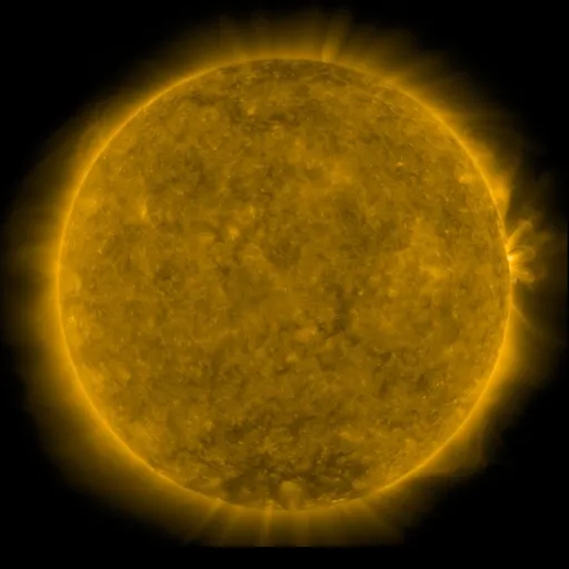 Solar Corona