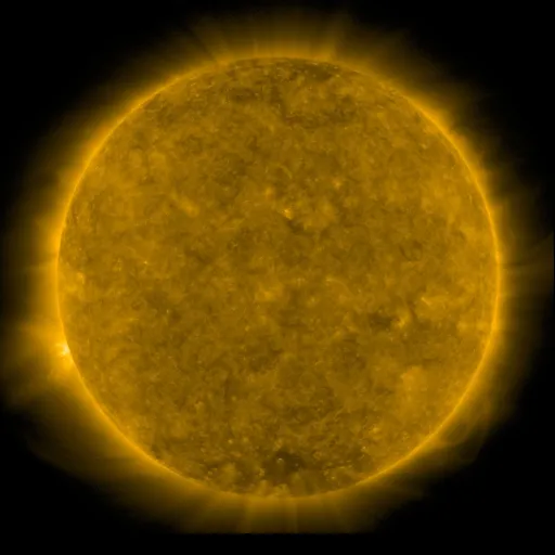 Solar Corona