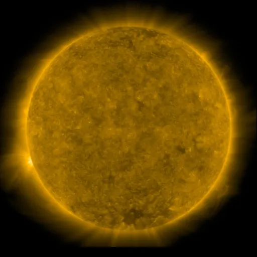 Solar Corona