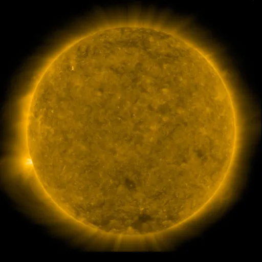 Solar Corona