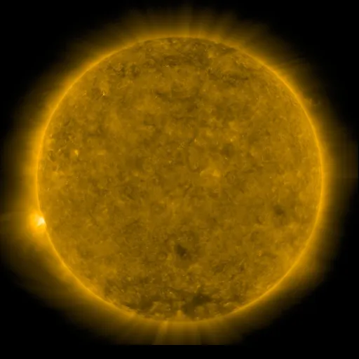 Solar Corona