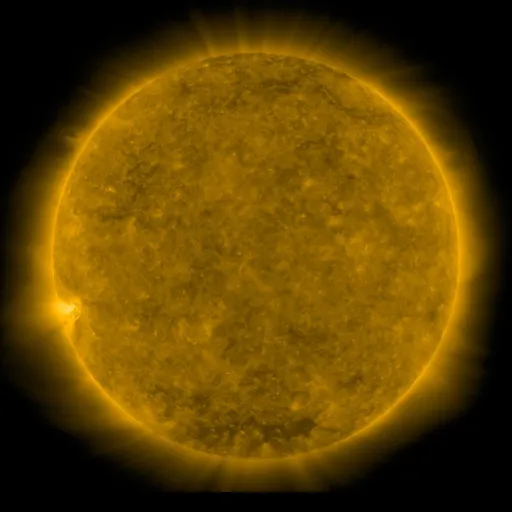 Solar Corona
