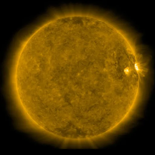 Solar Corona