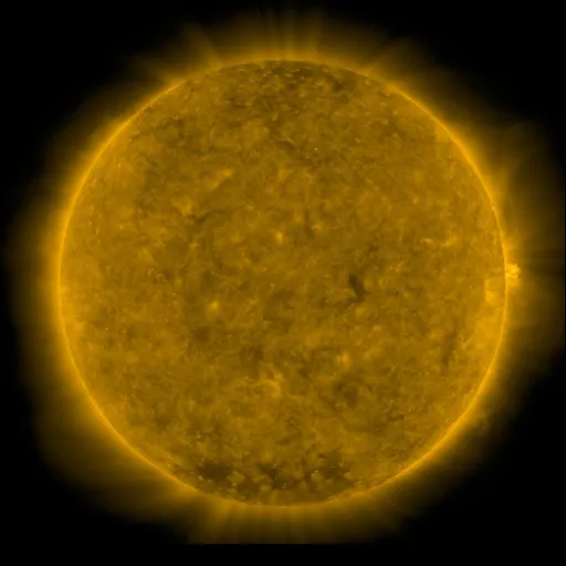 Solar Corona