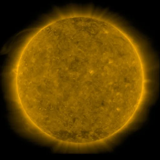 Solar Corona