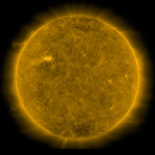 Solar Corona