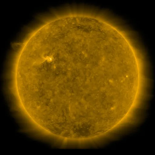 Solar Corona