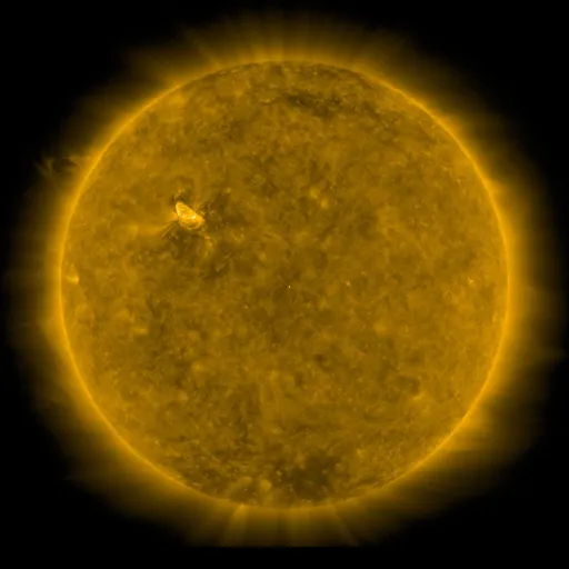 Solar Corona