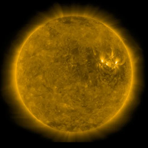 Solar Corona