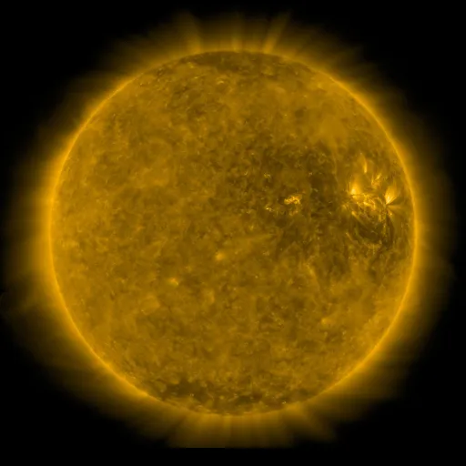 Solar Corona