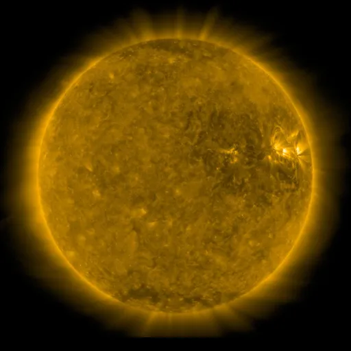 Solar Corona