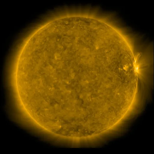 Solar Corona