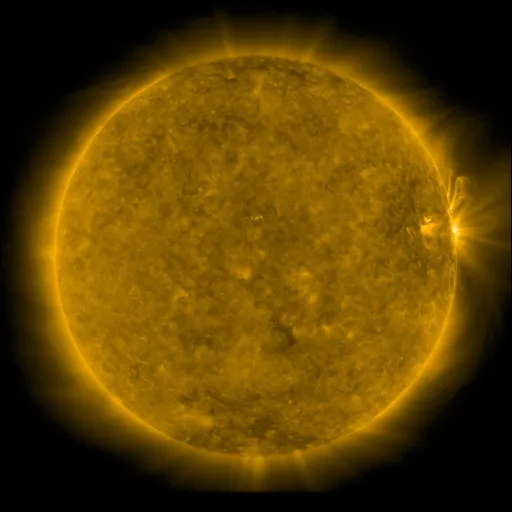Solar Corona