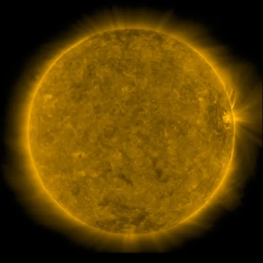 Solar Corona
