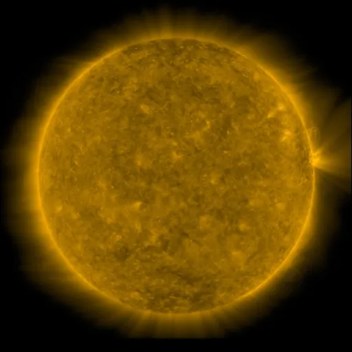 Solar Corona