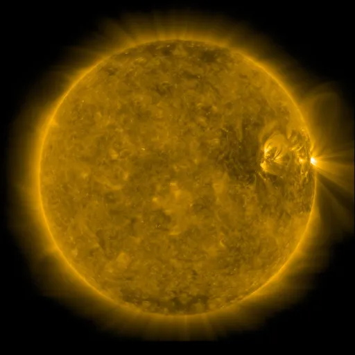 Solar Corona