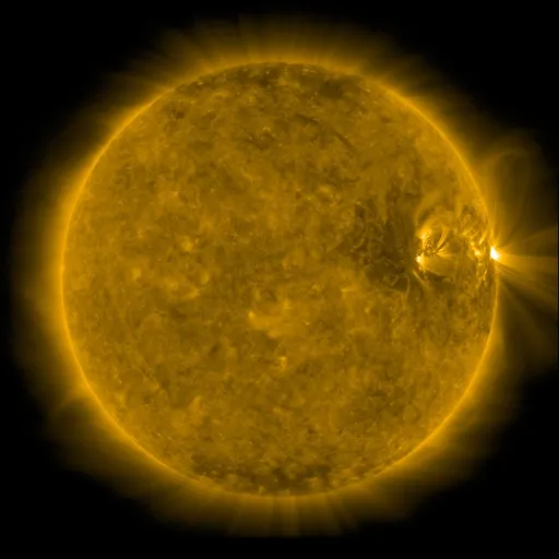 Solar Corona