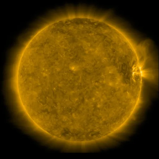 Solar Corona
