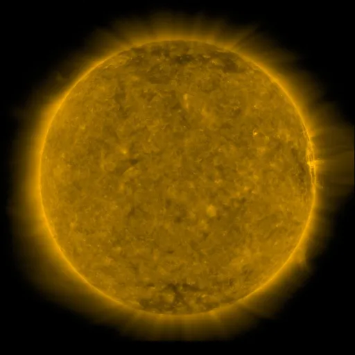 Solar Corona