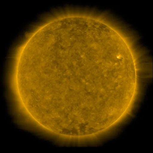 Solar Corona